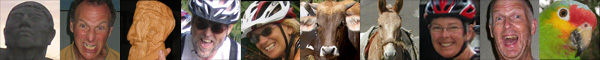 people banner image