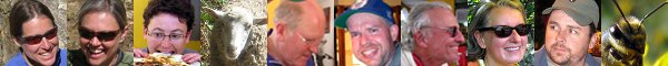 people banner image