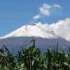 Under the Volcano